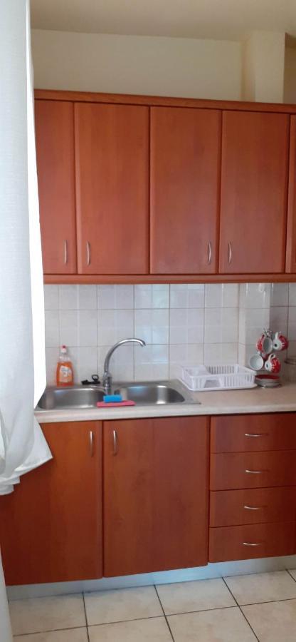 Apartmán Irene Ioánnina Exteriér fotografie